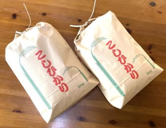 農家保有米 令和7年産 10キロ 玄米 コシヒカリ10kg(5kg×2) 新米