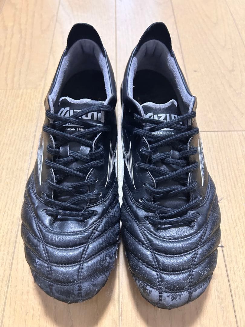 モレリアネオ4JAPAN 限定色　25cm