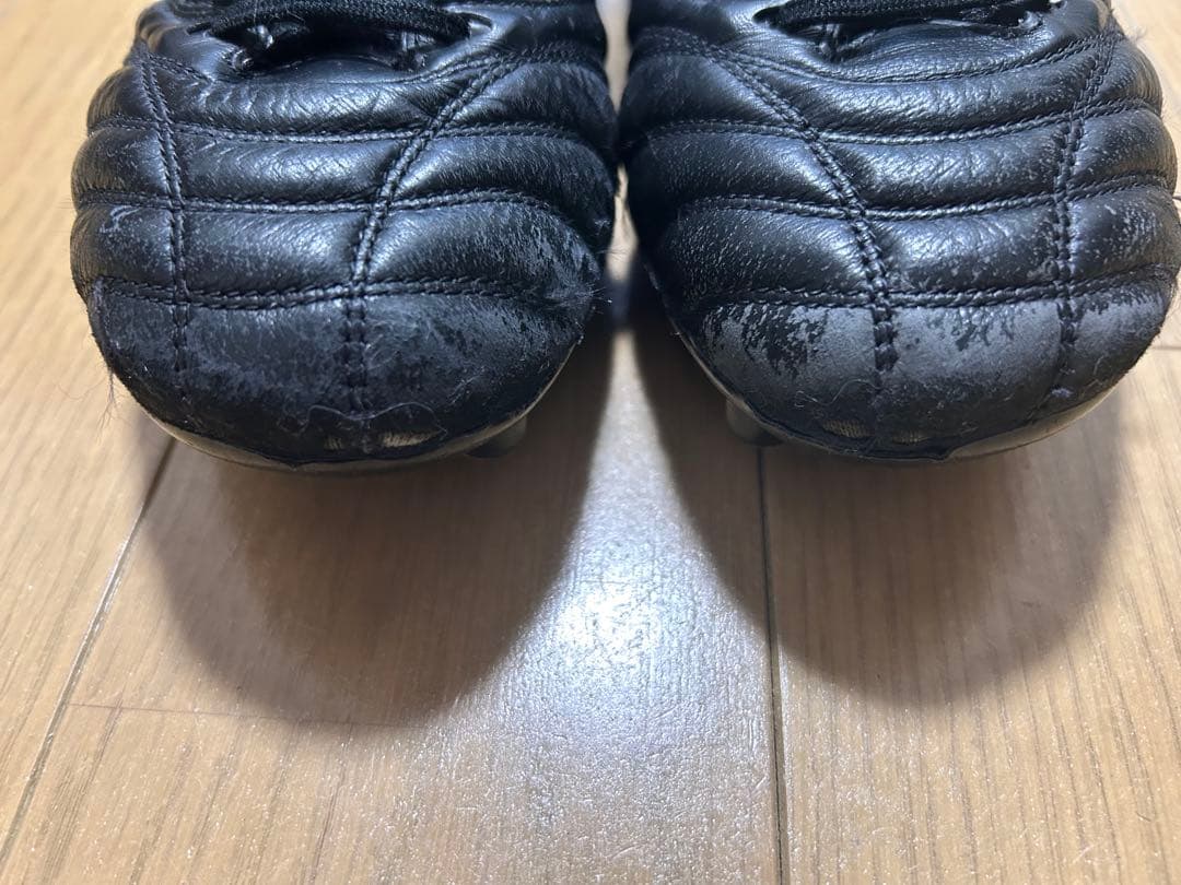 モレリアネオ4JAPAN 限定色　25cm