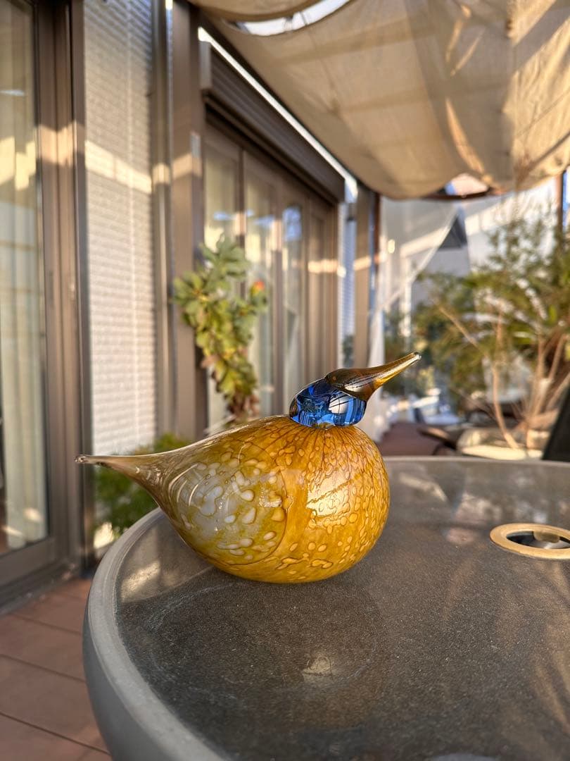 イッタラ　オイバトイッカ / Dotterel