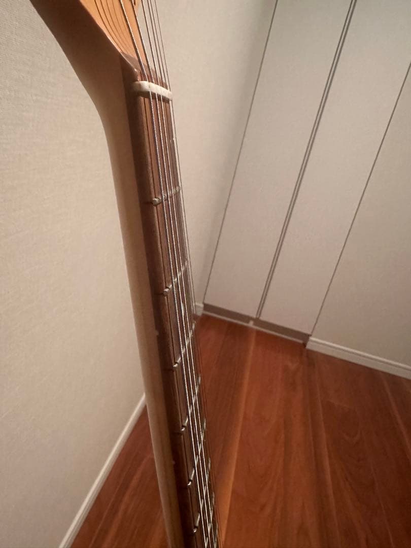 SCHECTER AR-06 STBK シェクター エレキギター