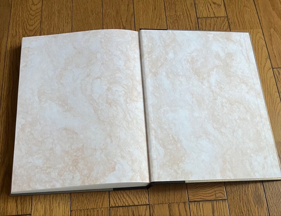 藤田嗣治画集 素晴らしき乳白色