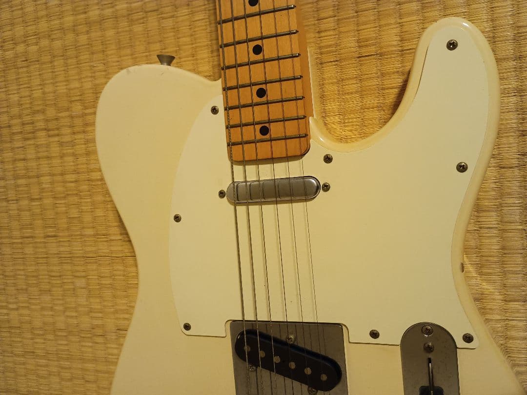 [Igor Giera]Fender Telecaster ホワイト