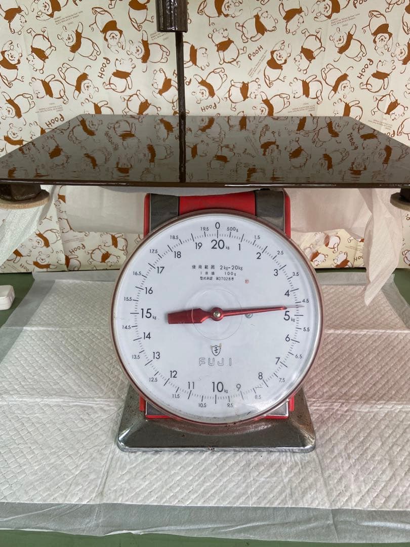 中型猛禽類まで　ファルコンブロック　パーチ