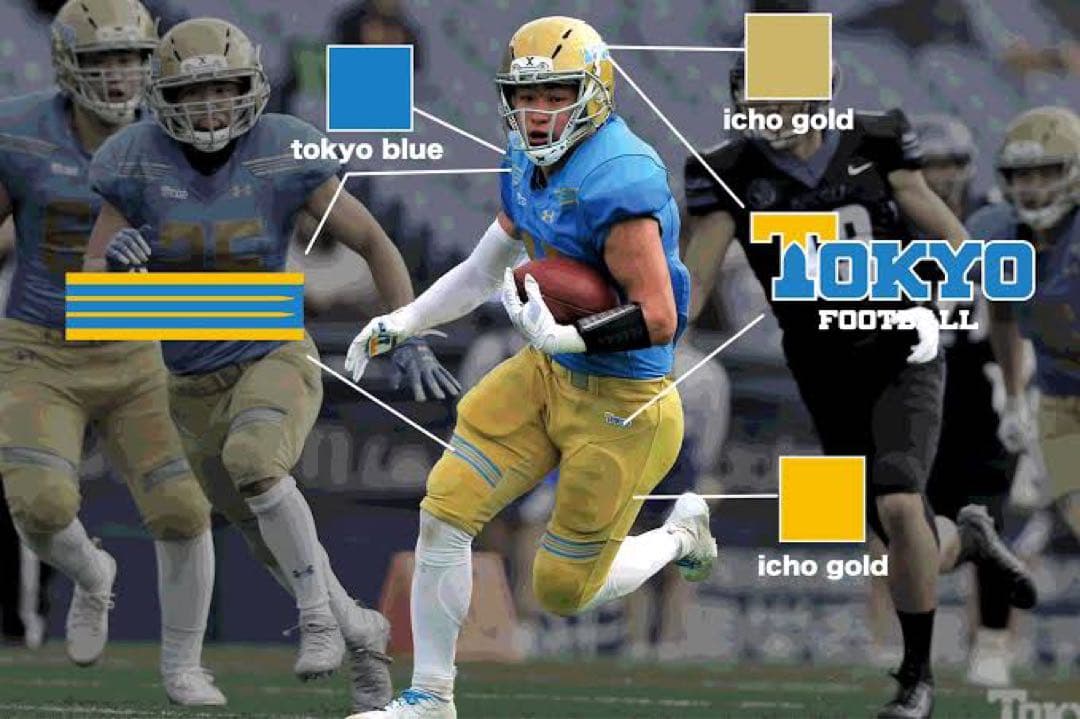 UA×東京大学“Warriors“ドライフィットトレーニングシャツMサイズ