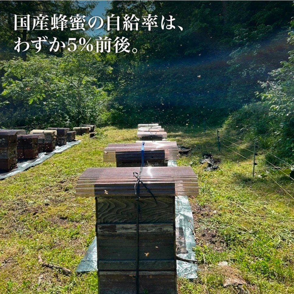 a150n【国産アカシア】八ヶ岳高原はちみつアカシア国産天然 1kg 新津養蜂園