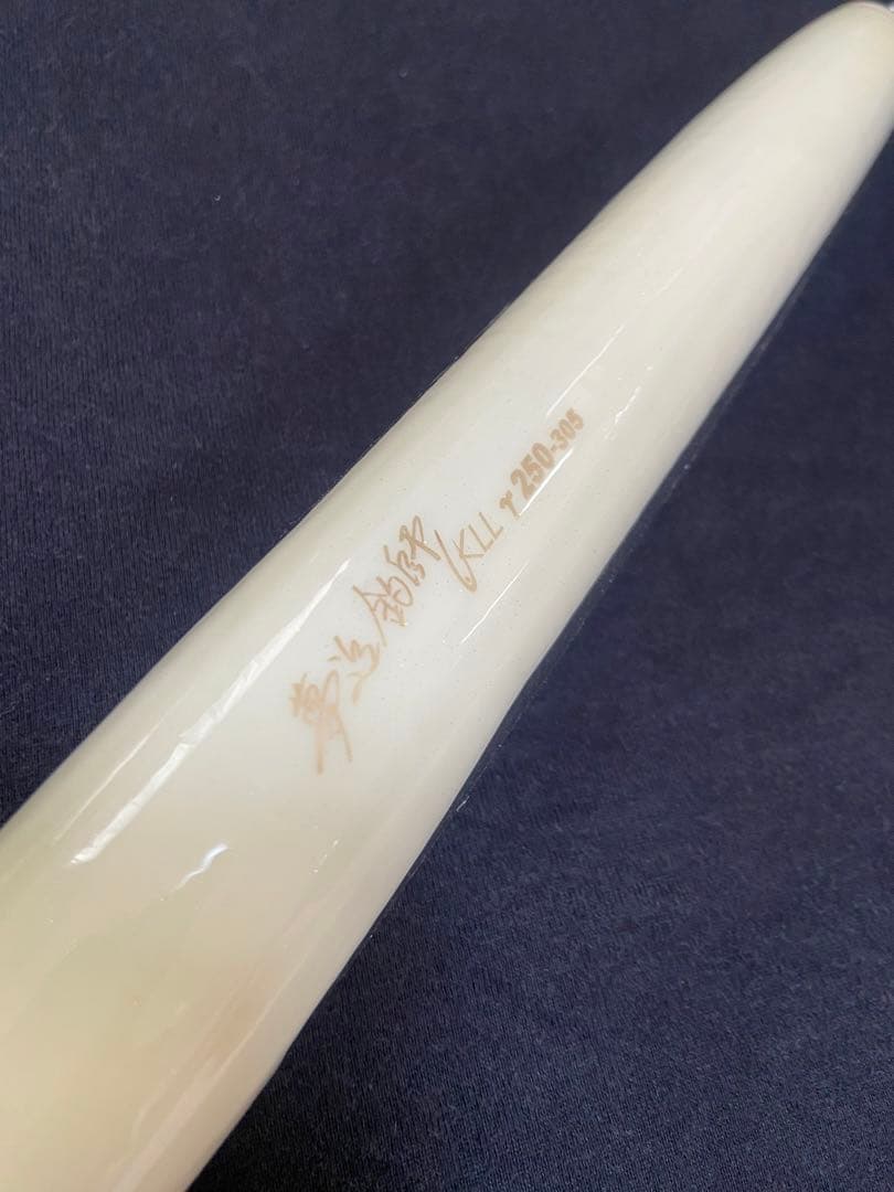 新品 カーペンター ガンマ 250 carpenter γ250