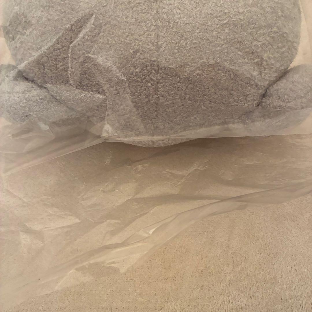 zb1 zeroni フラットぬいぐるみ　ゴヌク　ゴニニ　gunini