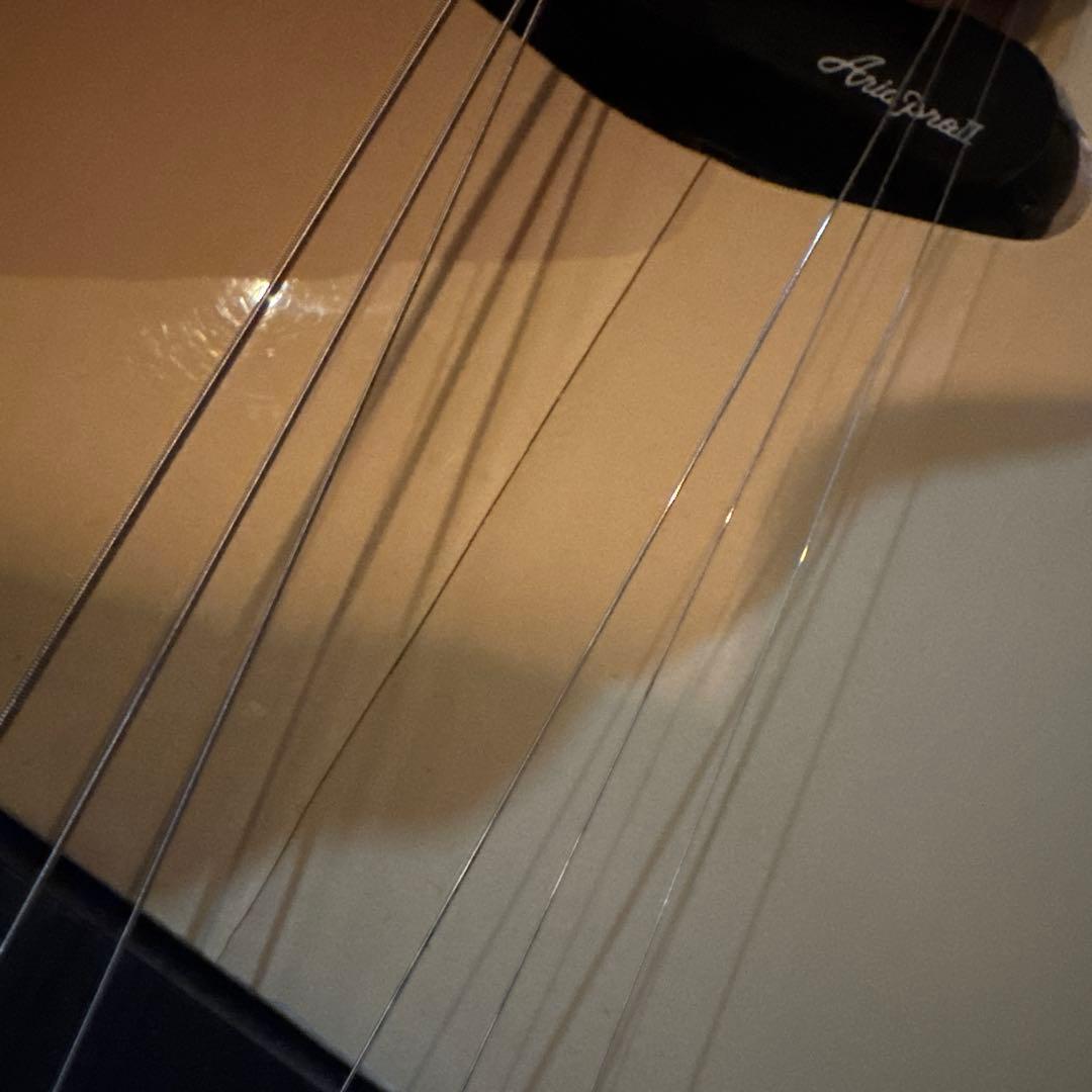 ギター aria pro ii TEX-35