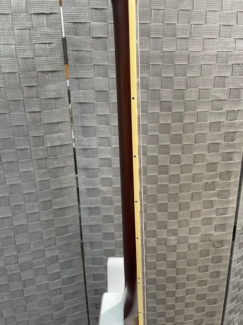 Bacchus BARON-STD/WH P90タイプピックアップ ケース付