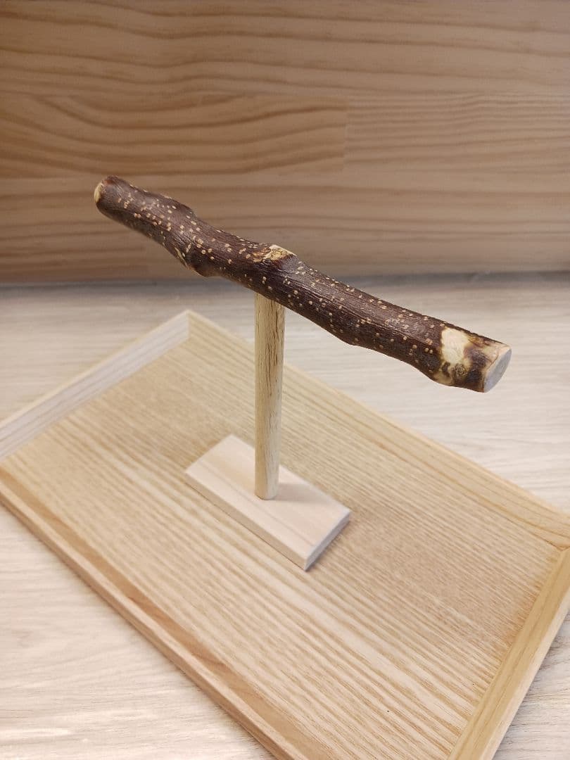 a7　止まり木　Tパーチ　☆　スタンド　バードトイ　3コセット