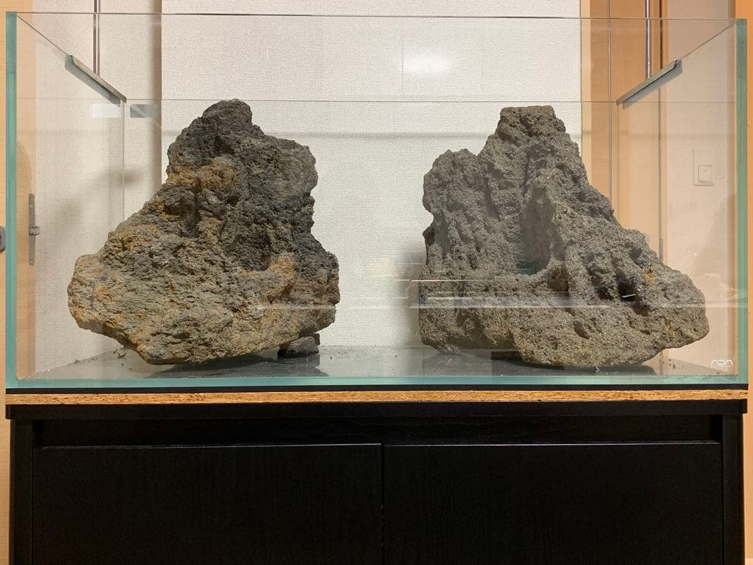 ADA 雲山石 特寸サイズ 2個セット