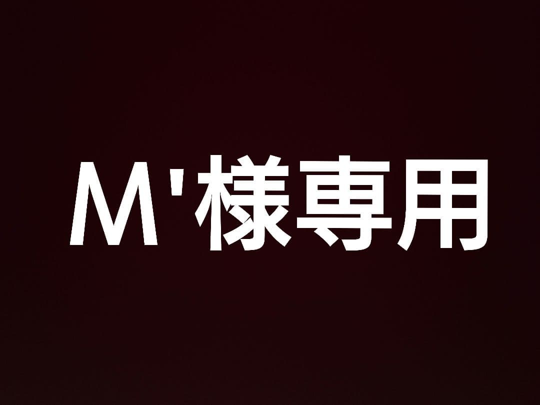 引き取り限定　マウンテンバイク AE ATB モントレイ