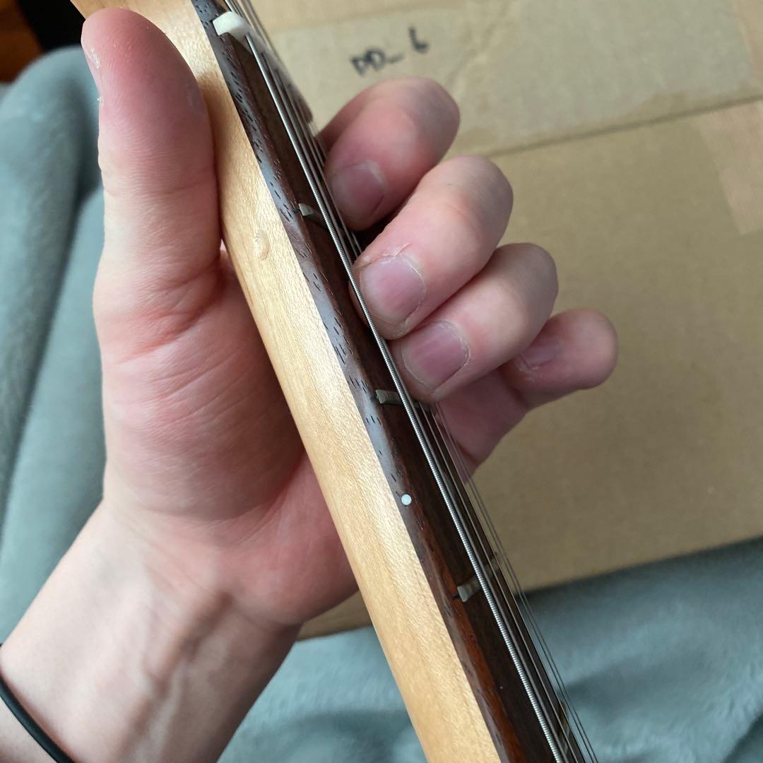 ギター yasubeeBacchus TACTICS MNG SC