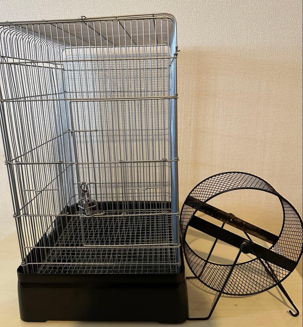 ✳︎土日限定価格✳︎サンコー イージーホーム メタルサイレント デグー セット