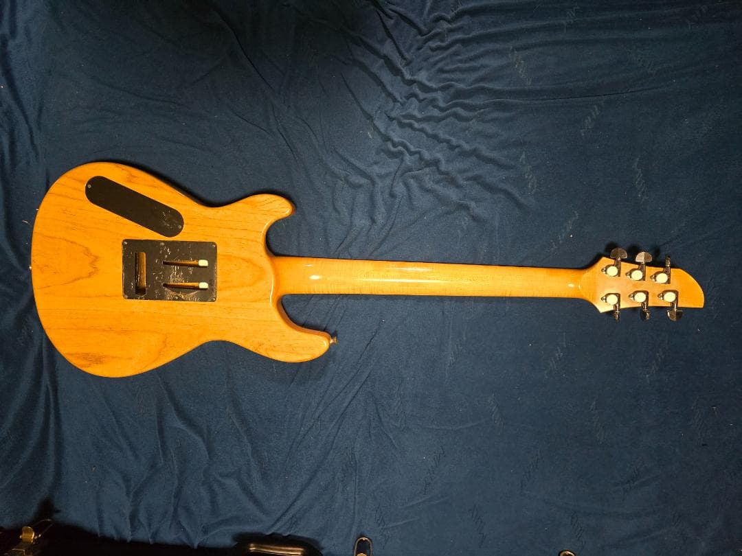 ギター FERNANDES APG-DLX JPC 2011 N