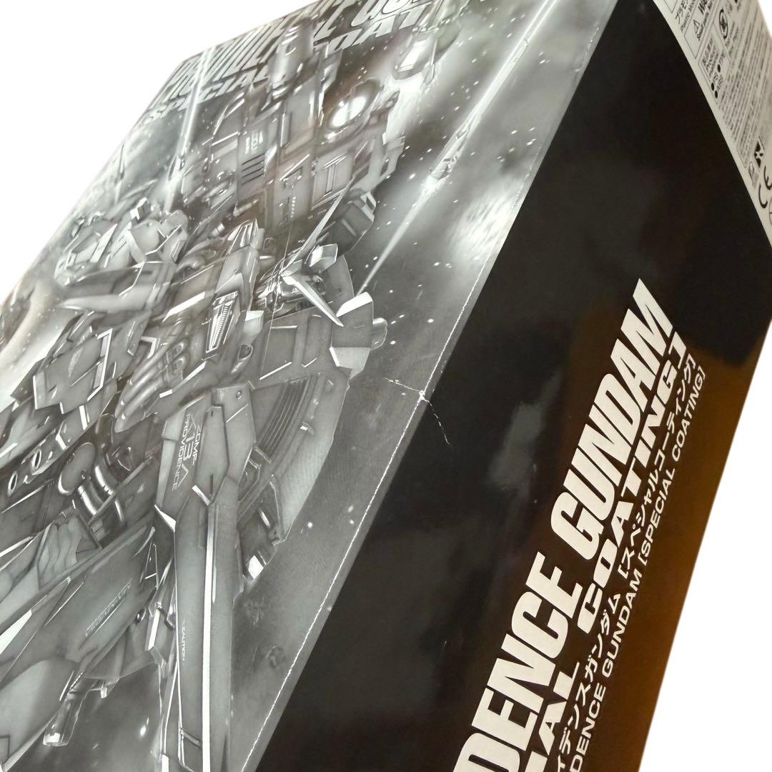 ＭＧ1/100 プロヴィデンスガンダム スペシャルコーティング