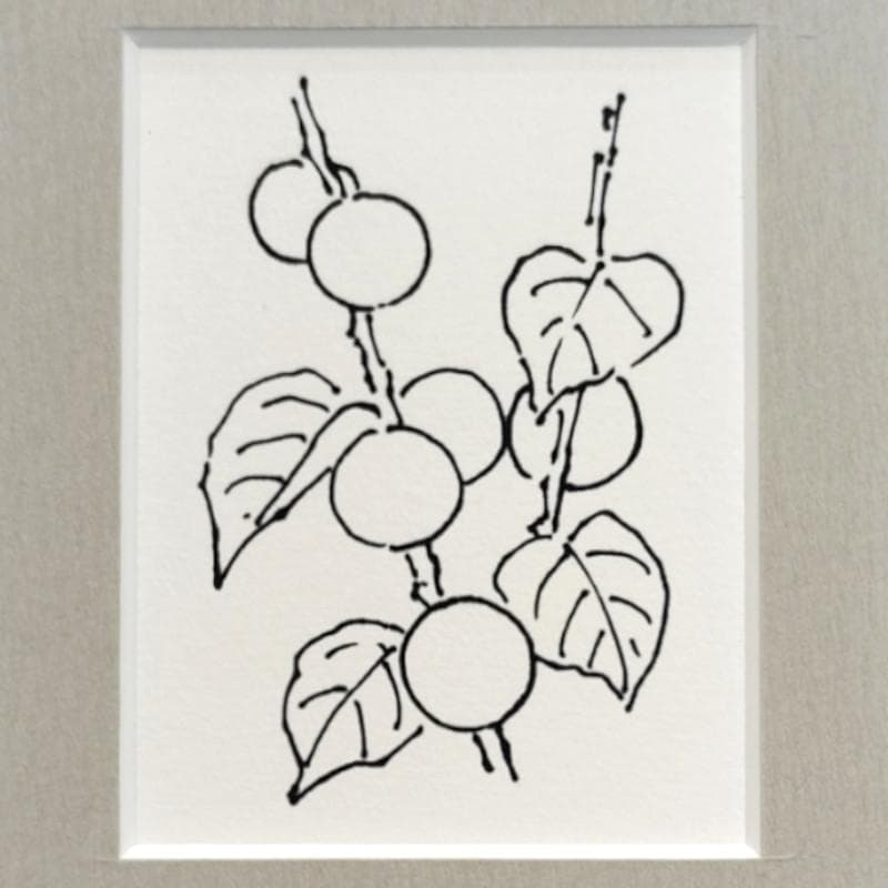 ☆坂本直行☆「白雲木」ペン画　インチサイズ