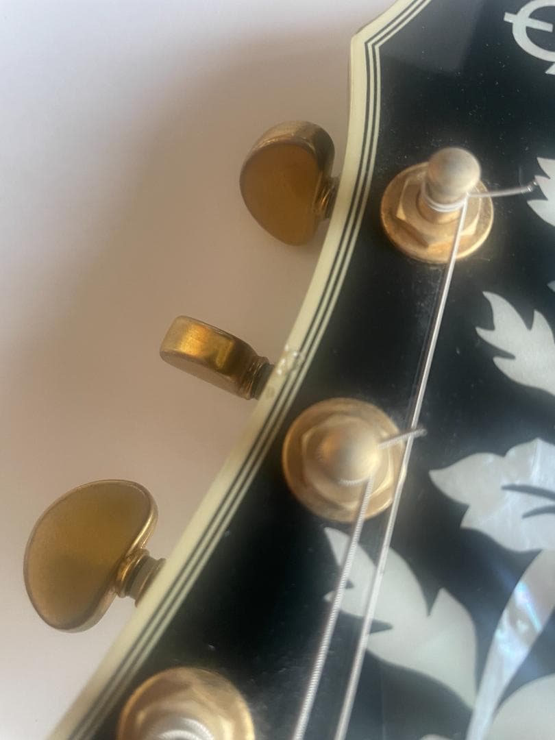 シゲ　Epiphone Sheraton II EB ソフトケース付属