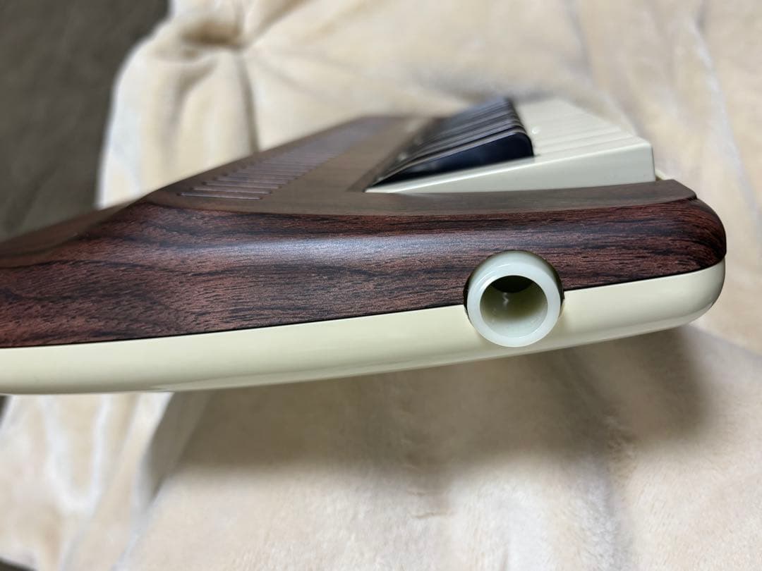 SUZUKI chord 25F ウッド調 25鍵　本体美品