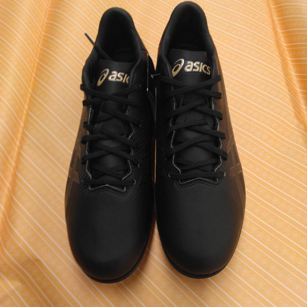 ゴールドステージI-PRO MA2