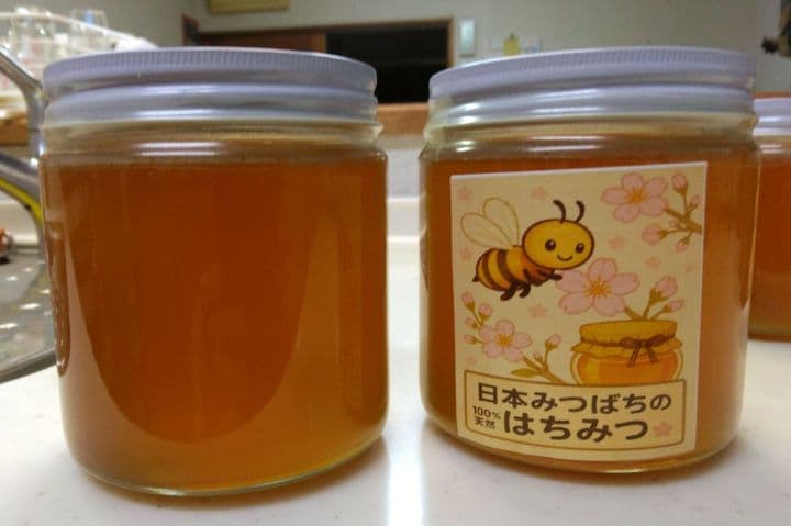 日本ミツバチ　2年蜜　天然蜂蜜 糖度約81度　正味550g　2本 　兵庫県産