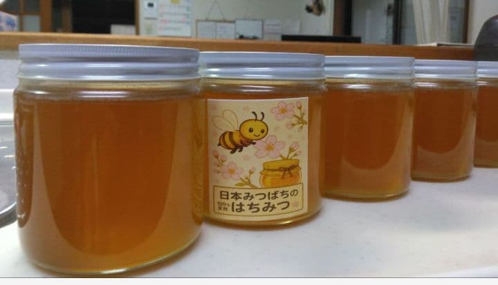 日本ミツバチ　2年蜜　天然蜂蜜 糖度約81度　正味550g　2本 　兵庫県産
