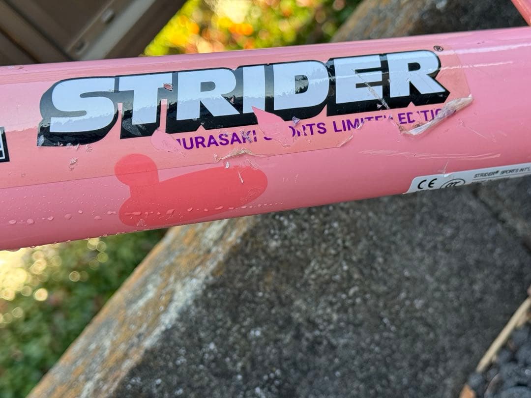 ストライダー ムラサキ限定モデル
