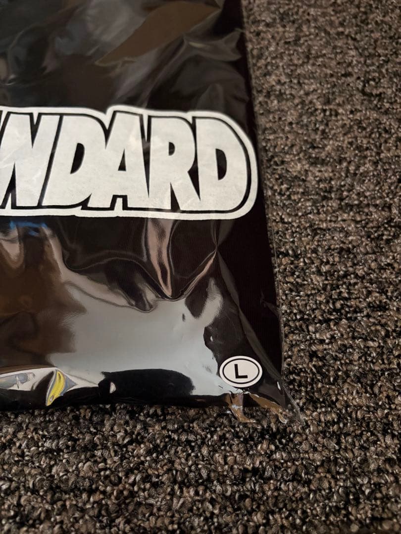 Hi-STANDARD FAT WRECK CHORDS Tシャツ Lサイズ