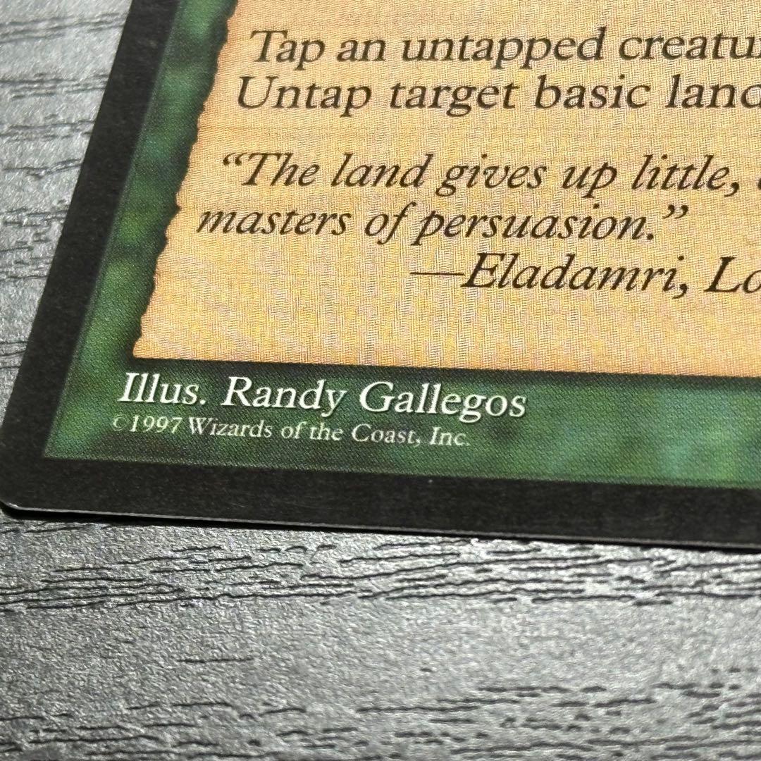 MTG 大地の知識 英語