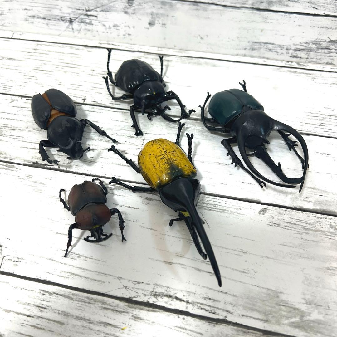 昆虫　フィギュア