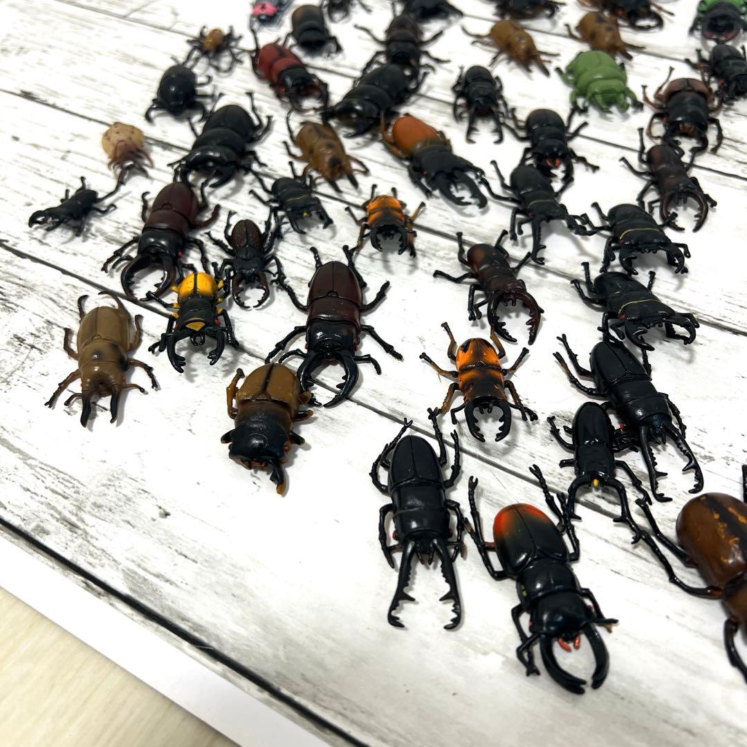 昆虫　フィギュア