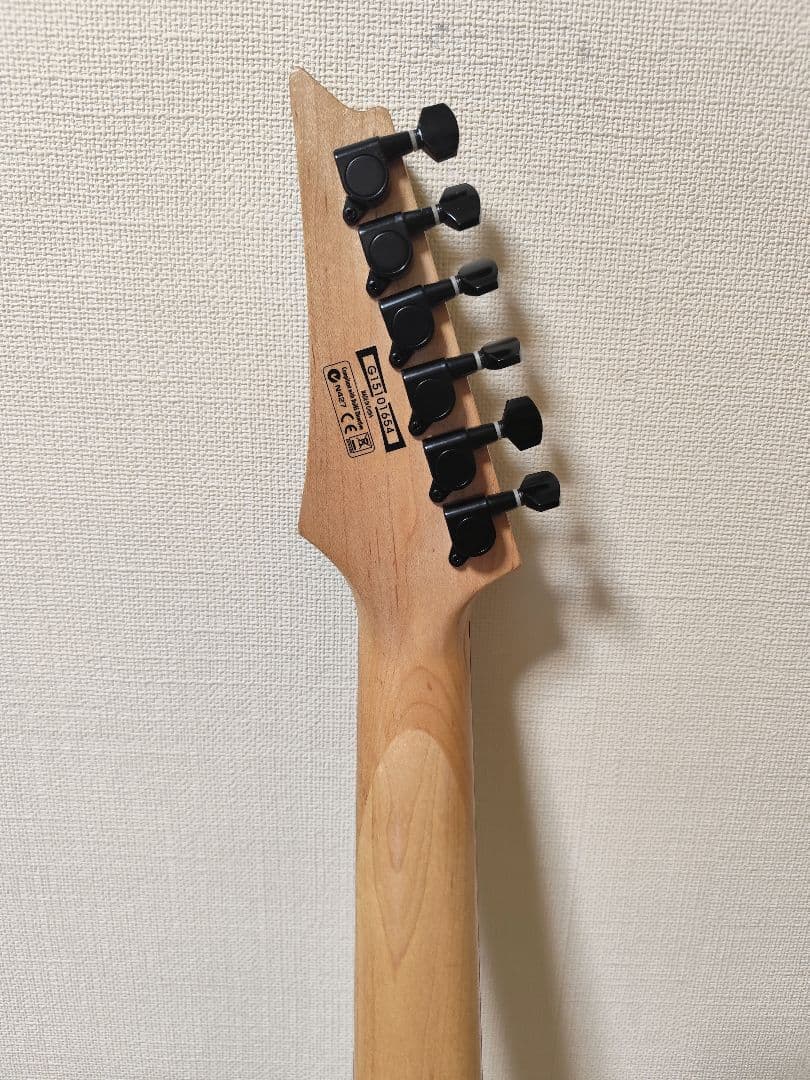 Ibanez Gio/ケース付