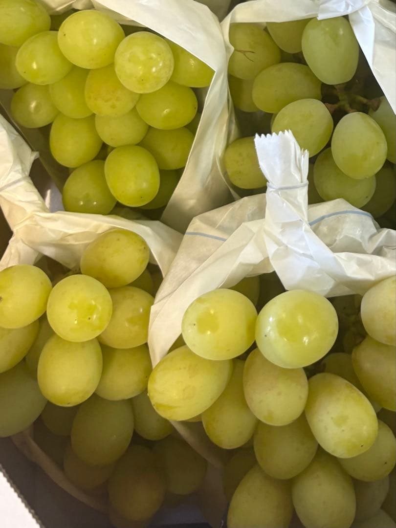 大分産　シャインマスカット　5kg