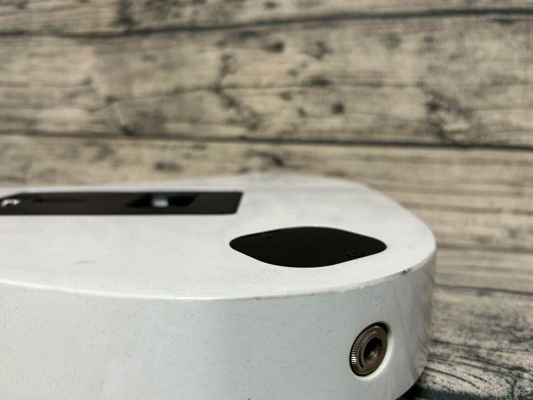 Ibanez 2008年限定品 RG Prestige RG2450MZ 日本製