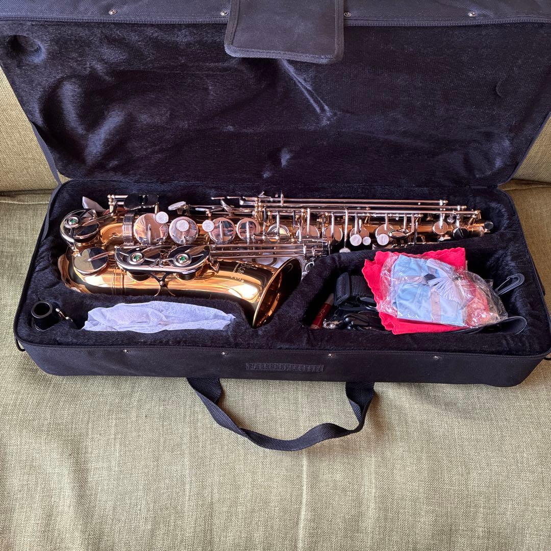 美品 Slade アルトサックス 管楽器 セミハードケース付属 付属品多数