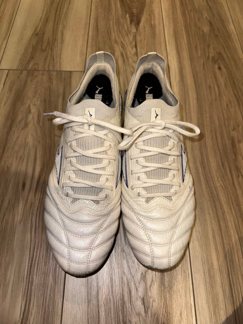 モレリアネオベータ　白×青