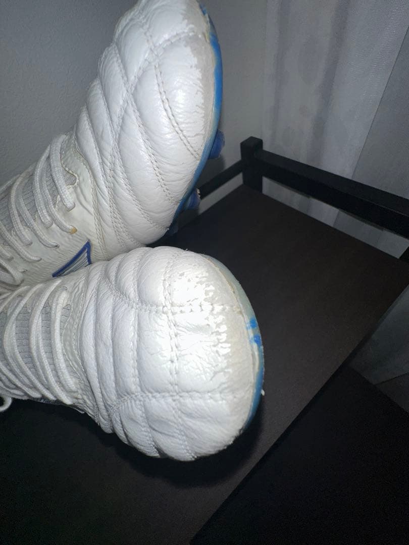 モレリアネオベータ　白×青