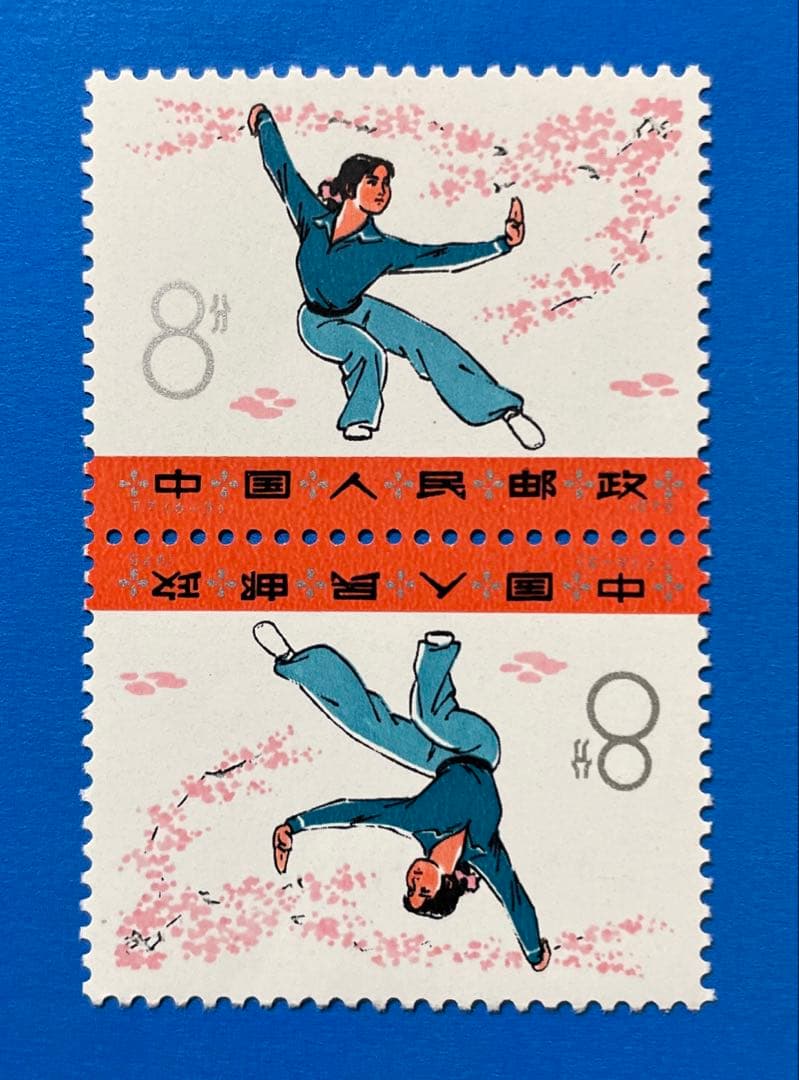 【激レア！】 T7 武術(未使用、テート・ベッシュ、6種完)