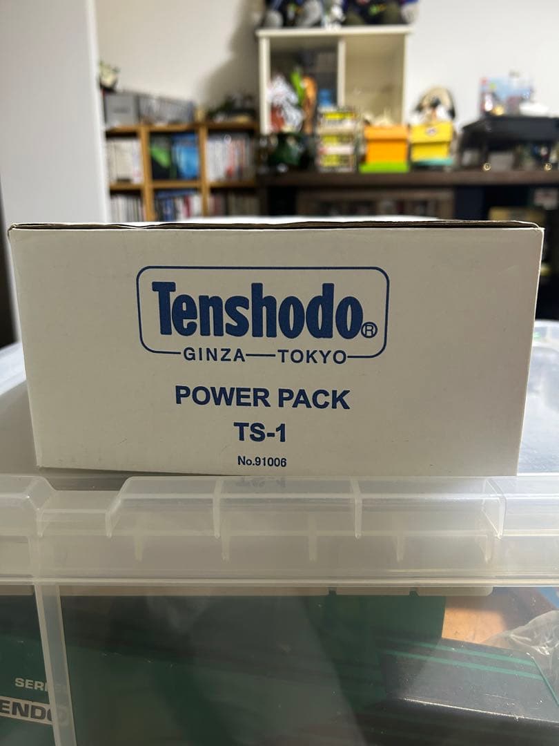 天賞堂　パワーパックTS-1 使用歴極少