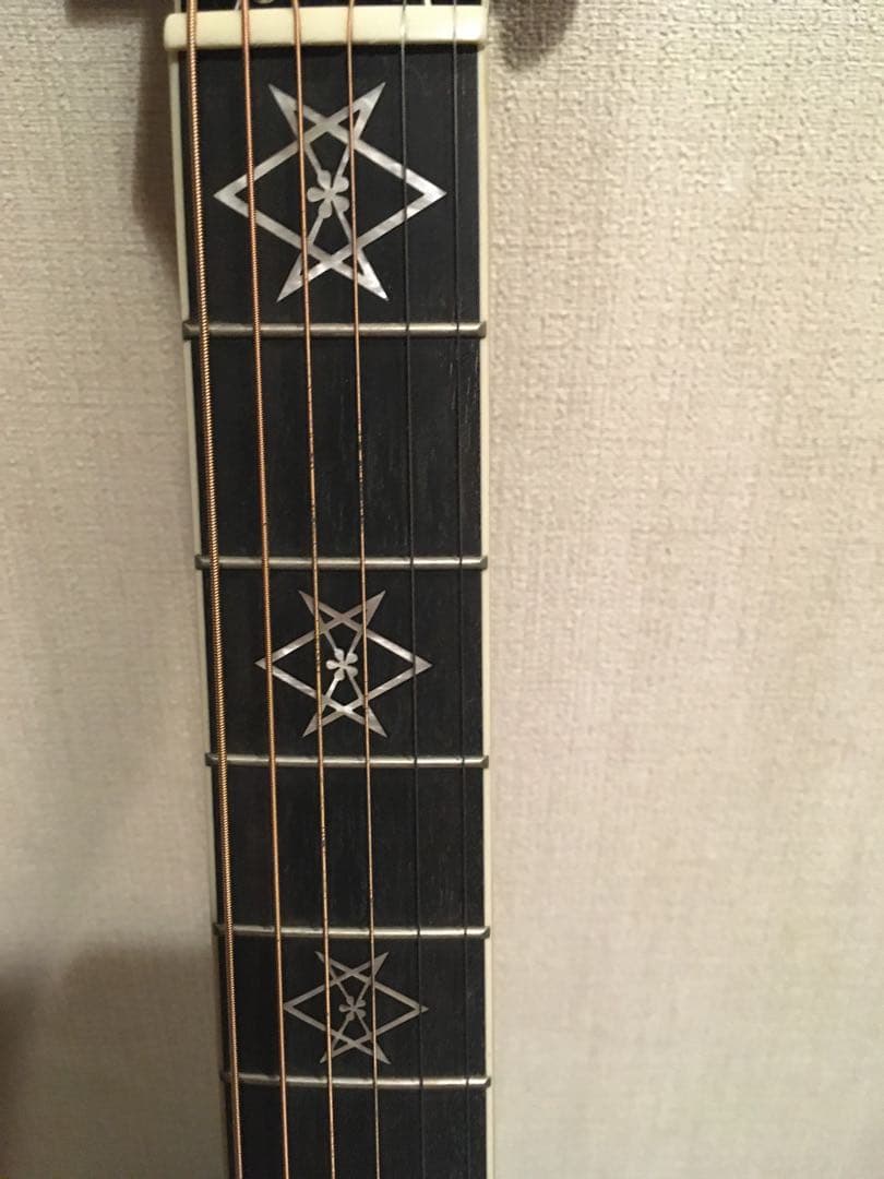 デイヴナヴァロ　シグネーチャーモデル Epiphone アコースティックギター