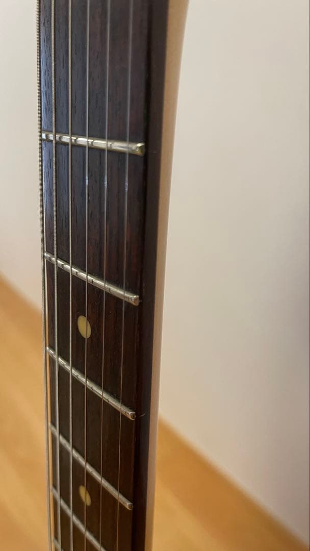 Schecterシェクタープロゲージシリーズ　PS-MSムスタングタイプ