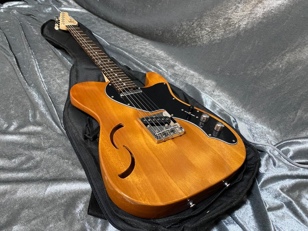 美品 限定生産モデル Schecter OL-PT-TH ホロウボディ