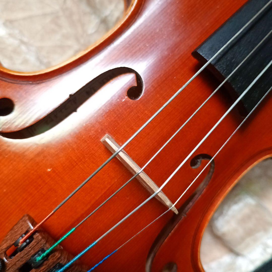 ピグマリウス スタンダード 2022年 アルシェ PE 1003 分数 1/4