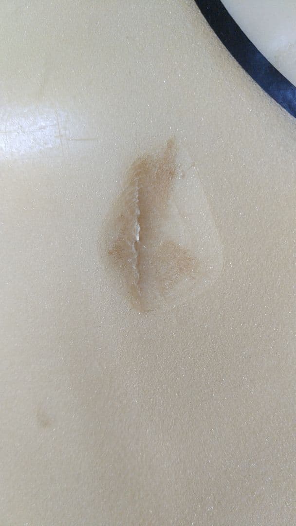 タウンアンドカントリーショートボード