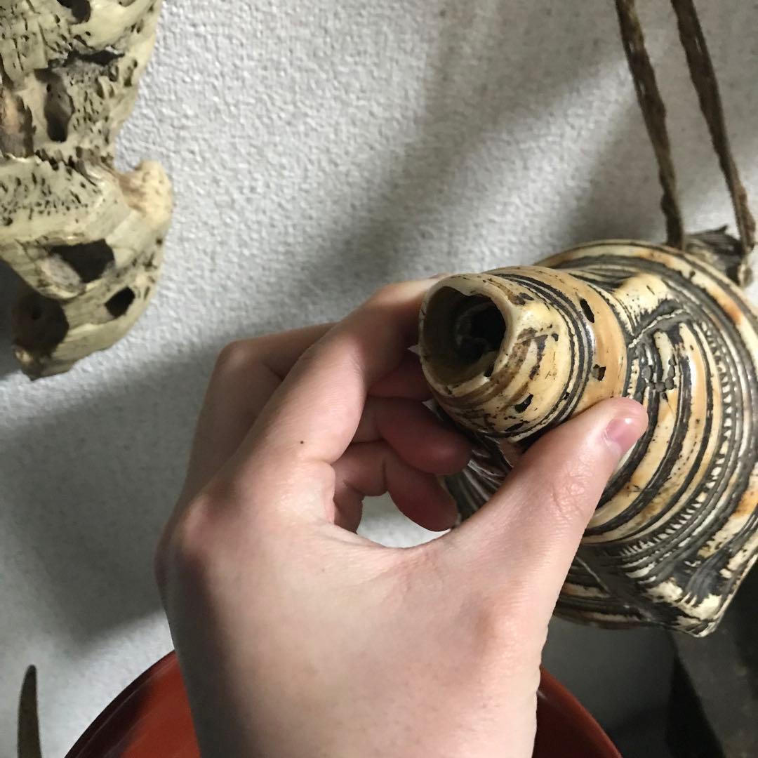 法螺貝　ホラガイ　修験道　山伏　マタギ　標本　貝殻