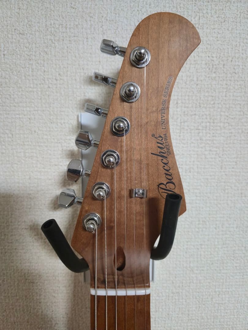 [美品]Bacchus BTE-1DX RSM/M Black