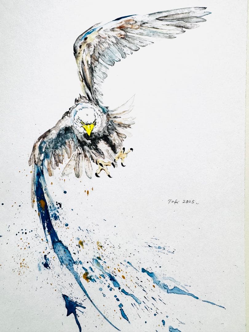 鷲 鷹 イーグル 額装済