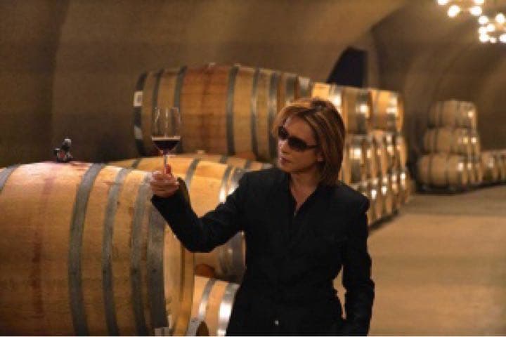 【激レア品】Y by YOSHIKIオークヴィル　ナパ・ヴァレー [2017]