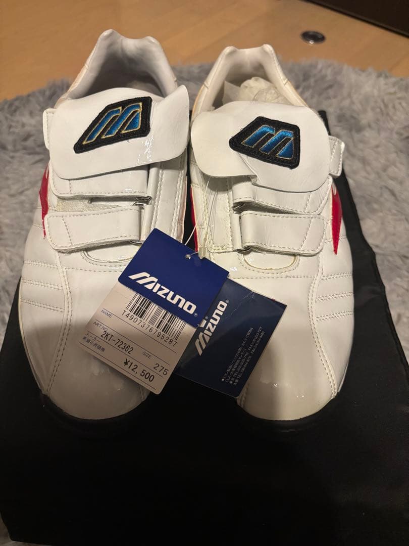 Mizuno ウェーブサンデー　トレーニングシューズ ホワイト/レッド27.5㎝